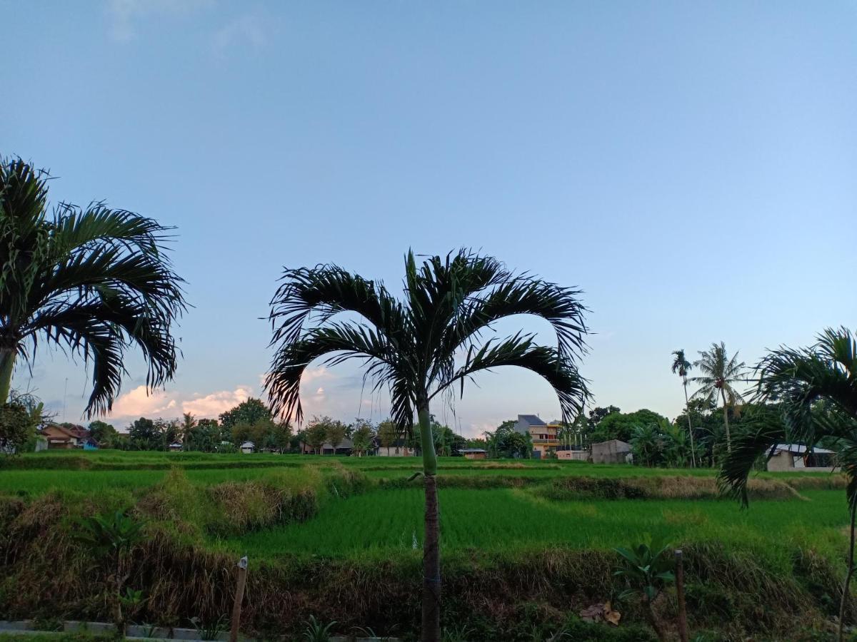 Bata Merah Homestay Banyuwangi  Eksteriør billede