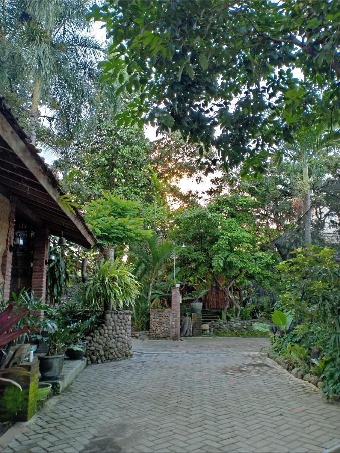 Bata Merah Homestay Banyuwangi  Eksteriør billede