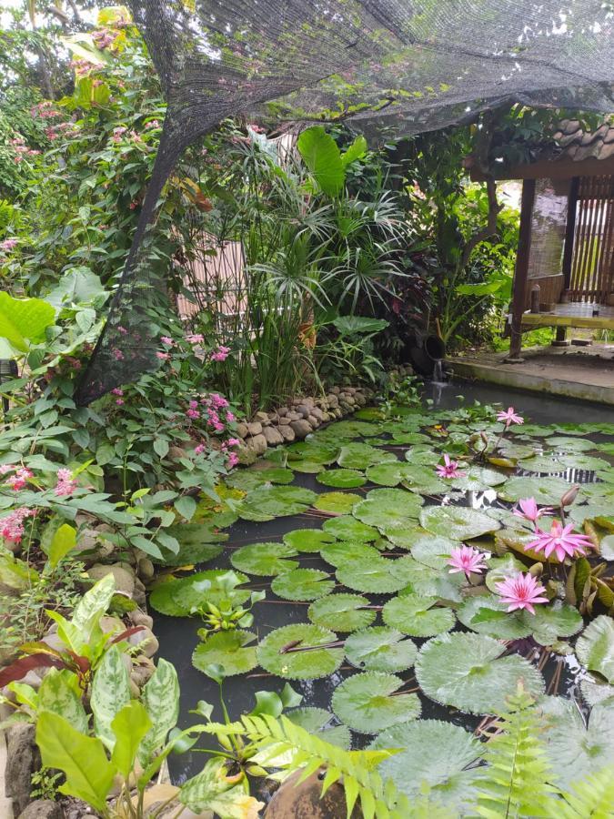 Bata Merah Homestay Banyuwangi  Eksteriør billede