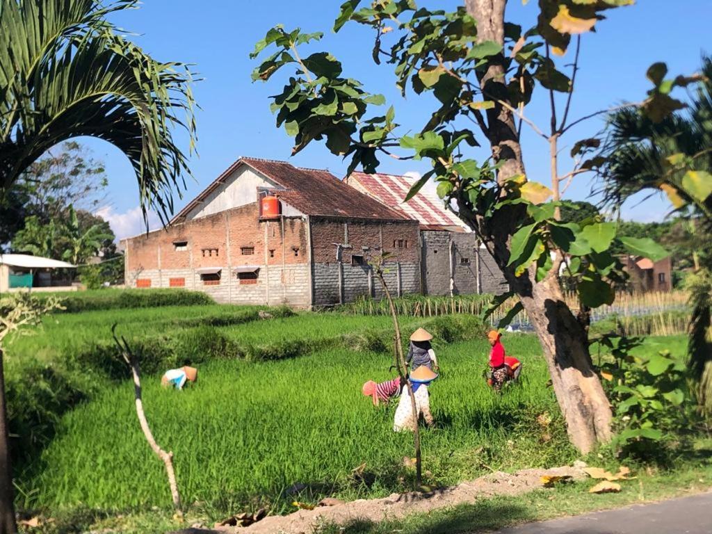 Bata Merah Homestay Banyuwangi  Eksteriør billede